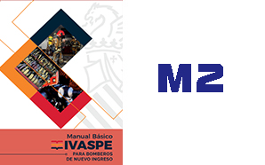 Manual 2 Ivaspe