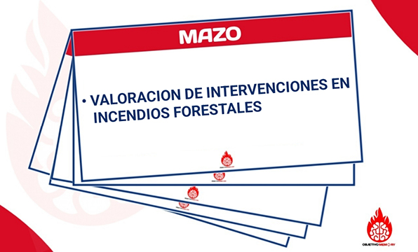 Mazo Incendios de Vegetación (Capítulo 2)