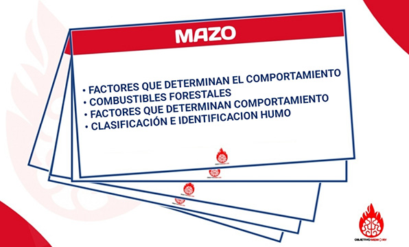 Mazo Incendios de Vegetación (Capítulo 1, parte 2)