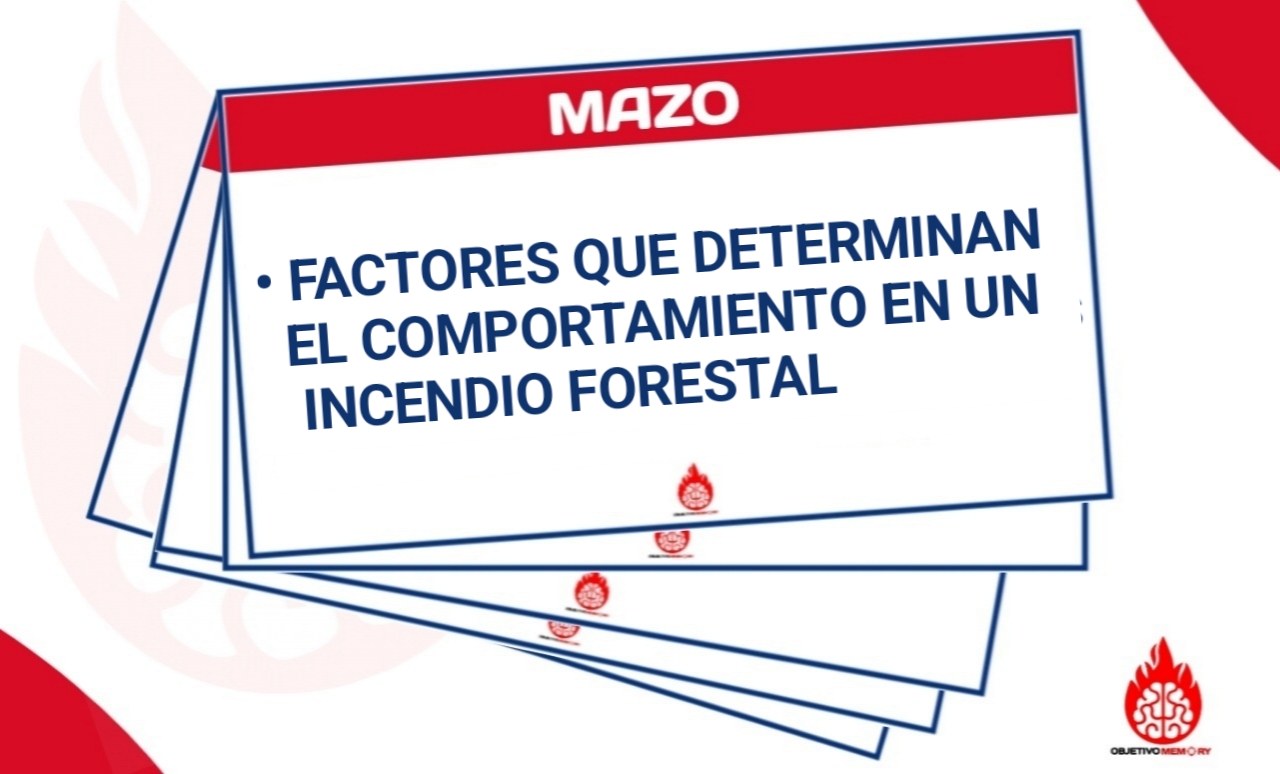 Mazo Incendios de Vegetación 2