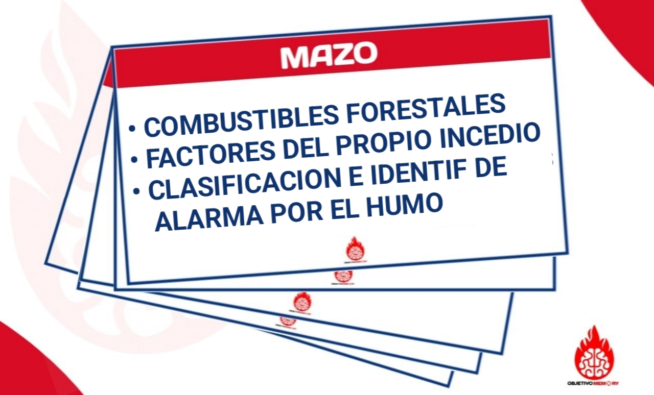 Mazo Incendios de Vegetación 3